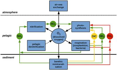 A Novel Modeling Approach to Quantify the Influence of Nitrogen Inputs on the Oxygen Dynamics of the North Sea